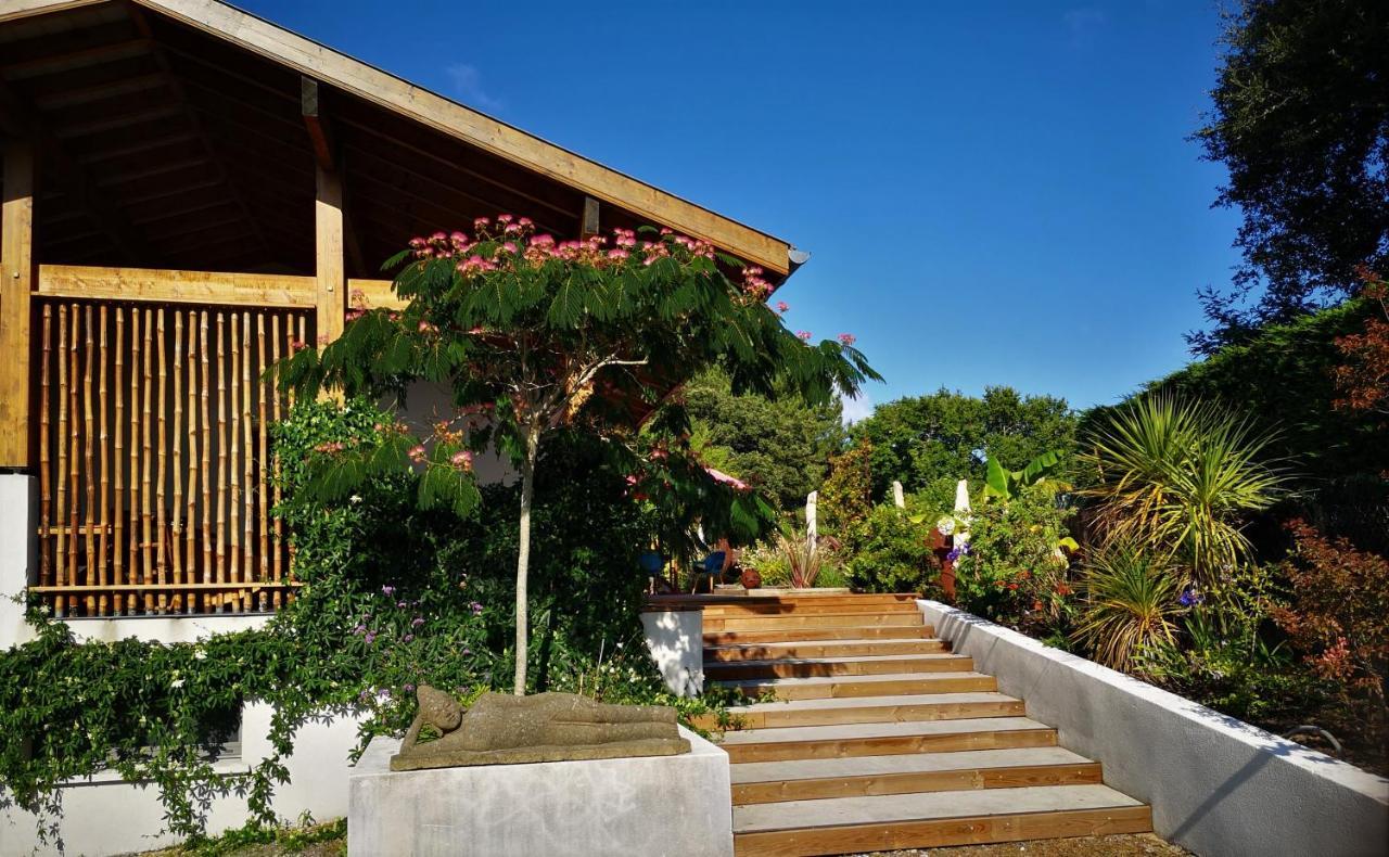 Villa Hossegor - 4 Etoiles, 6 Chambres - 5 Salles De Bains - Piscine Chauffee 5 Mn Des Plages Soorts-Hossegor Eksteriør bilde